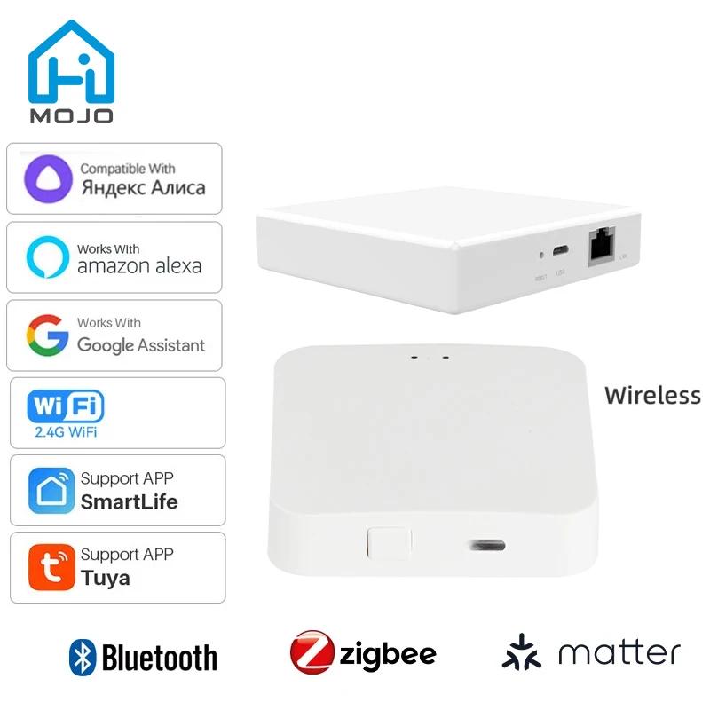 Ʈ Tuya WIFI Zigbee  ޽    Ʈ  긮  Apple Homekit Alexa Google Voice Assistant